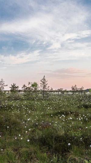 fuli24lv黑料正能量截图2